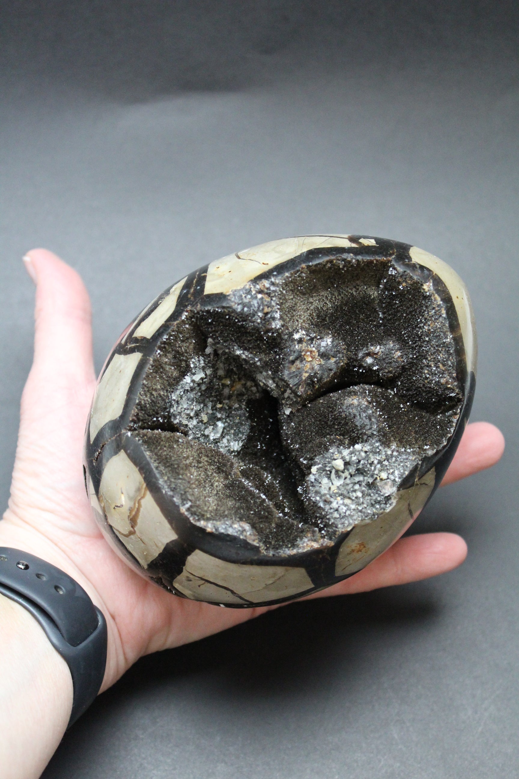 Septarie æg/Drageæg - 1,6 kg