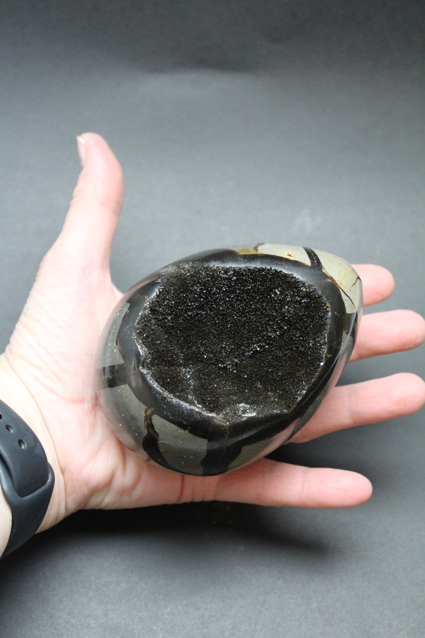 Septarie æg/Drageæg - 760 gr.