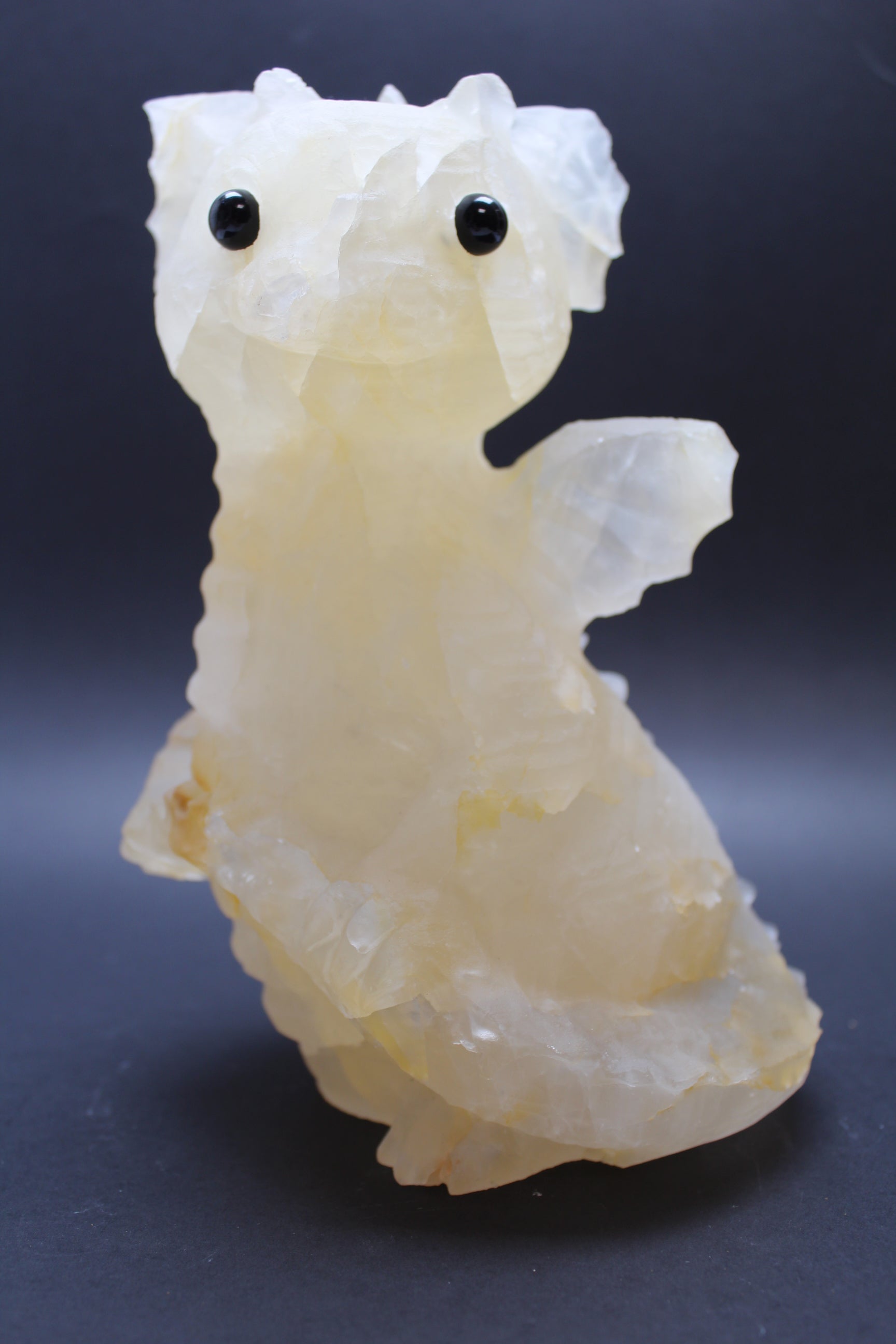 Drage Golden Healer - XL