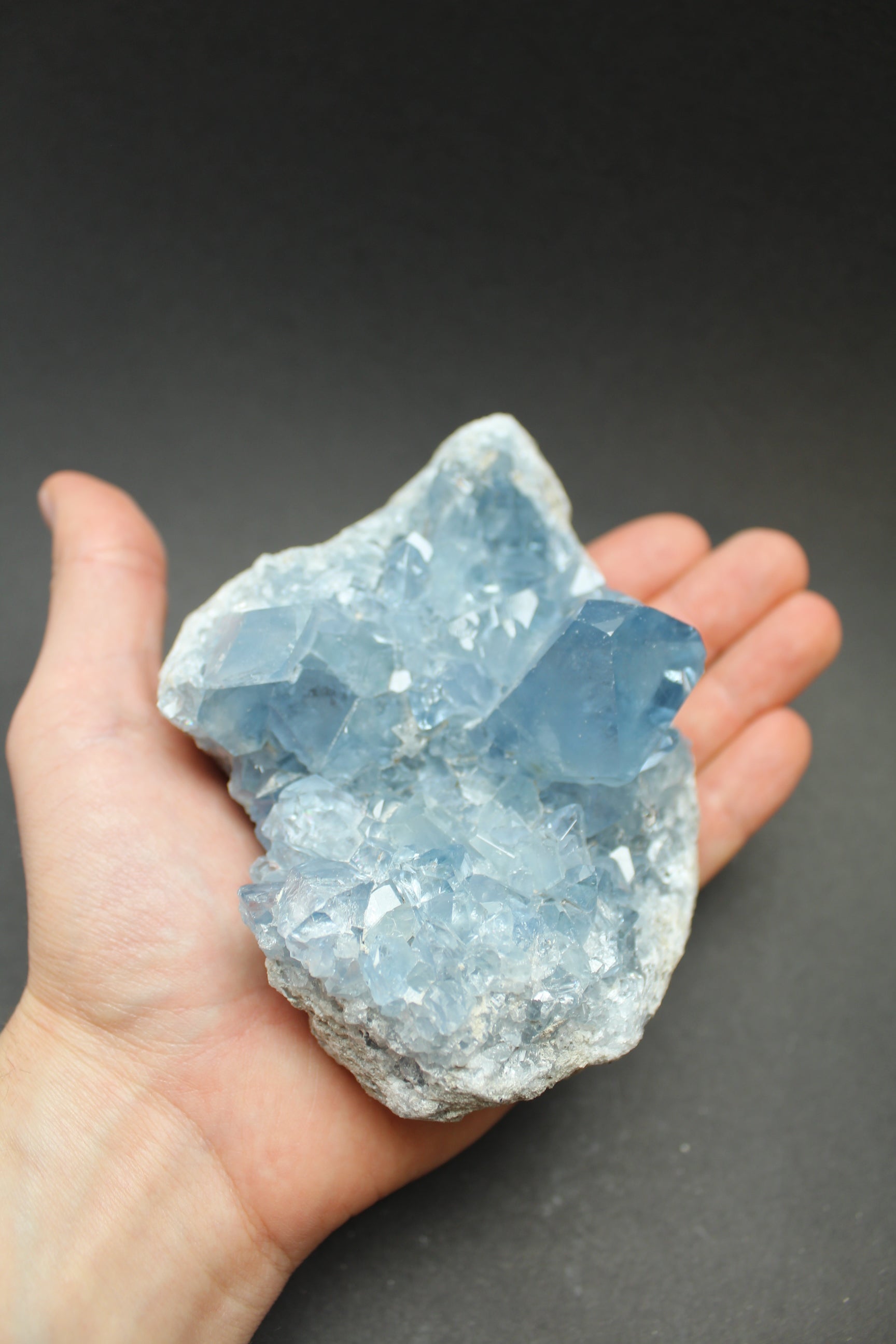 Celestin Klynge - 925g (Nr. 5)