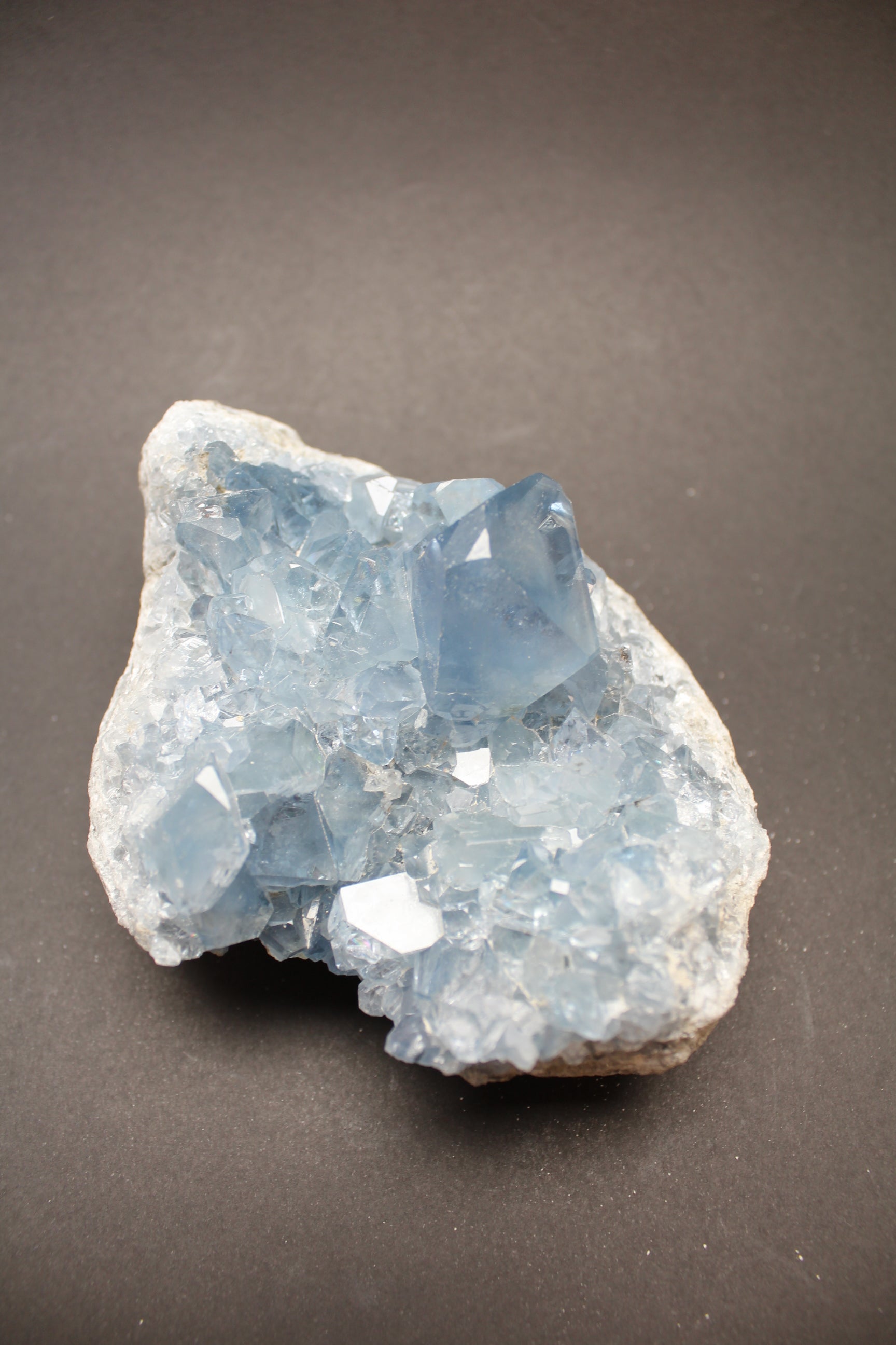 Celestin Klynge - 925g (Nr. 5)