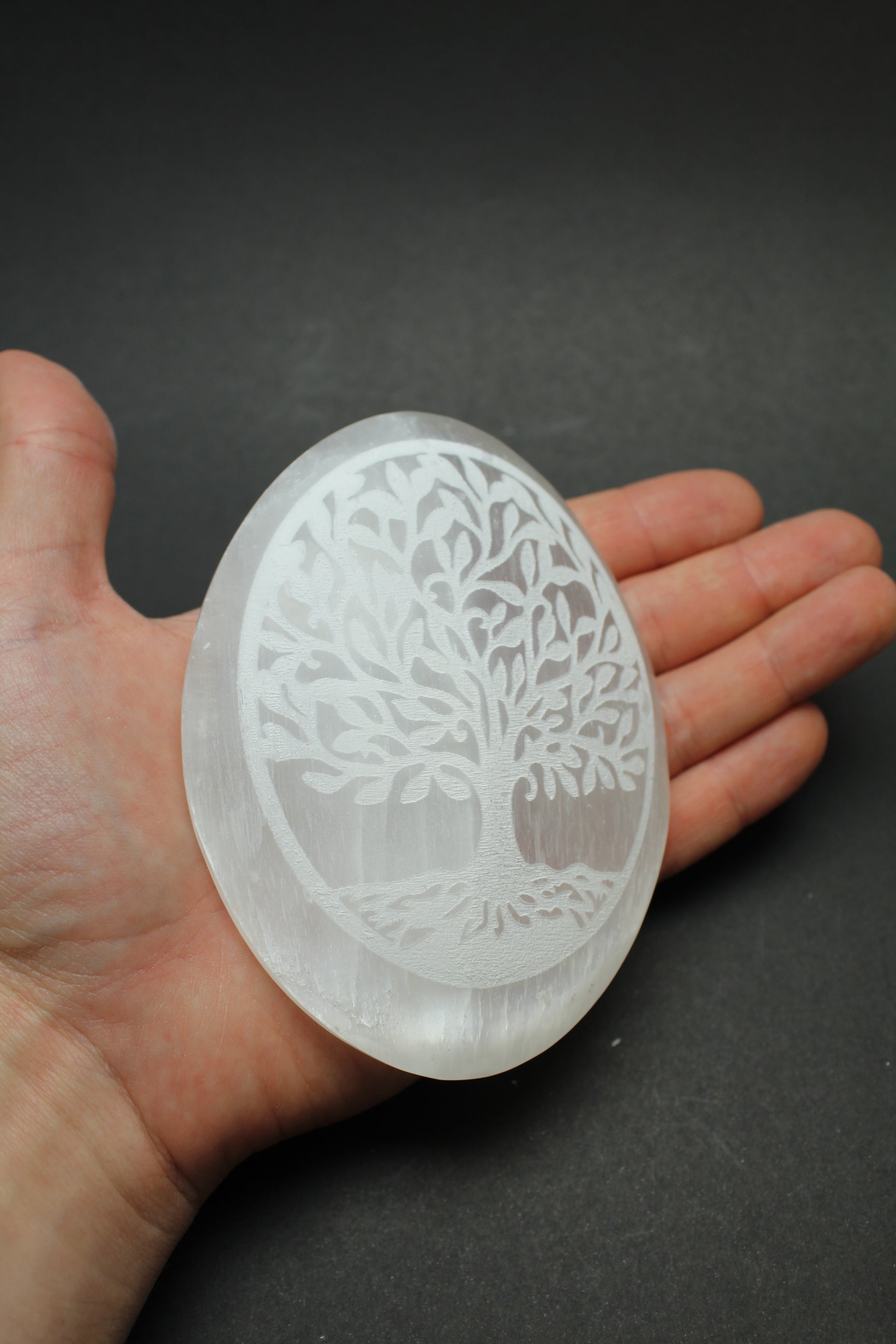 Selenit Palmstone - Livets Træe - 10-11cm