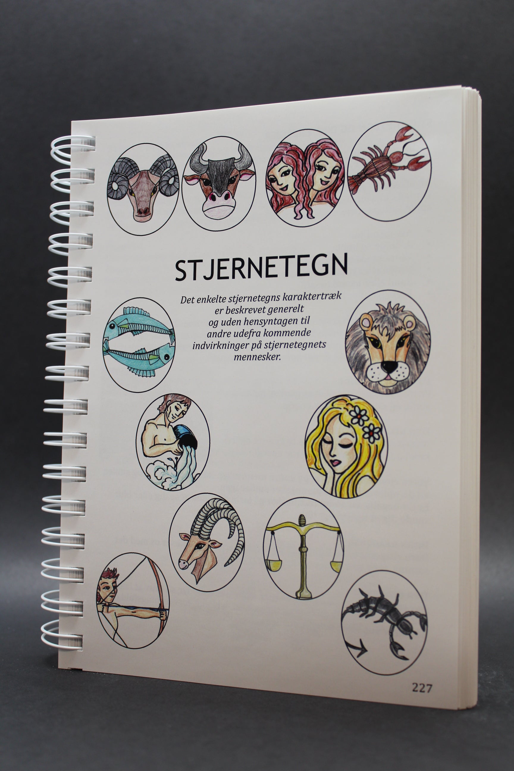 Bog - Sten, Magi og Stjernetegn