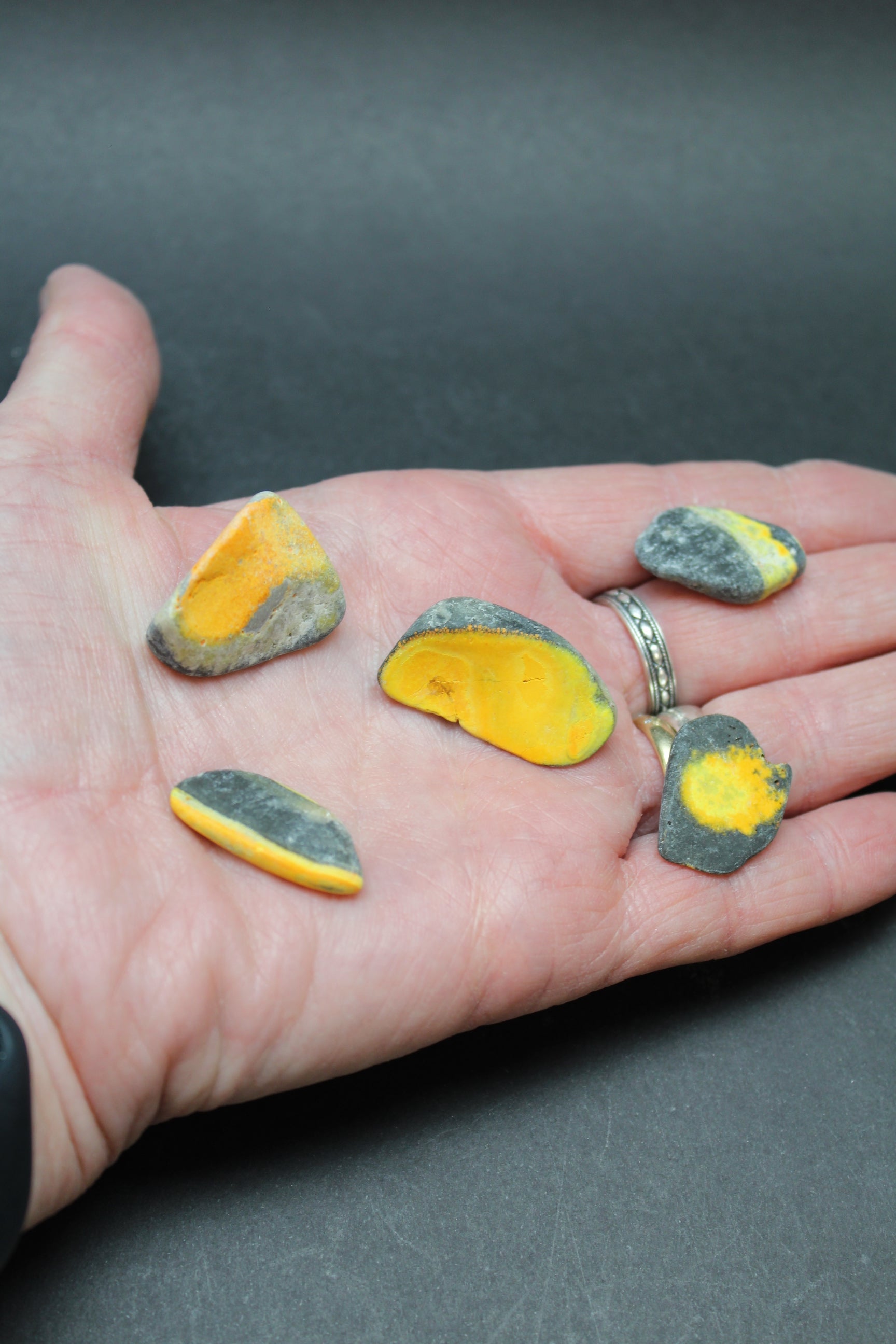 Bumble Bee Jaspis RÅ