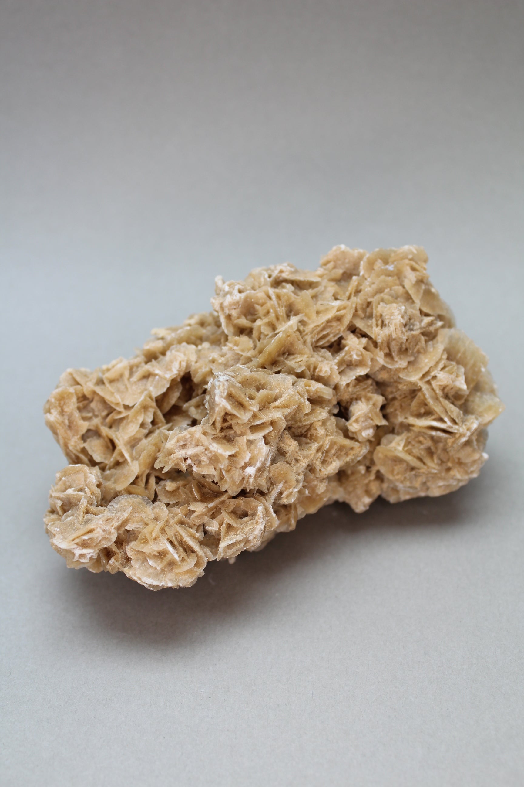 Ørkenrose 379 gr. (Nr. 2)
