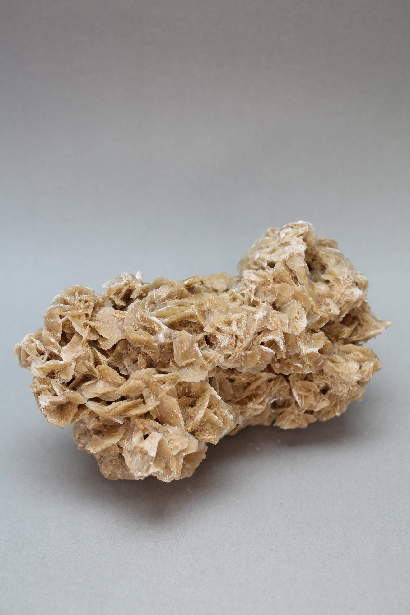 Ørkenrose 379 gr. (Nr. 2)