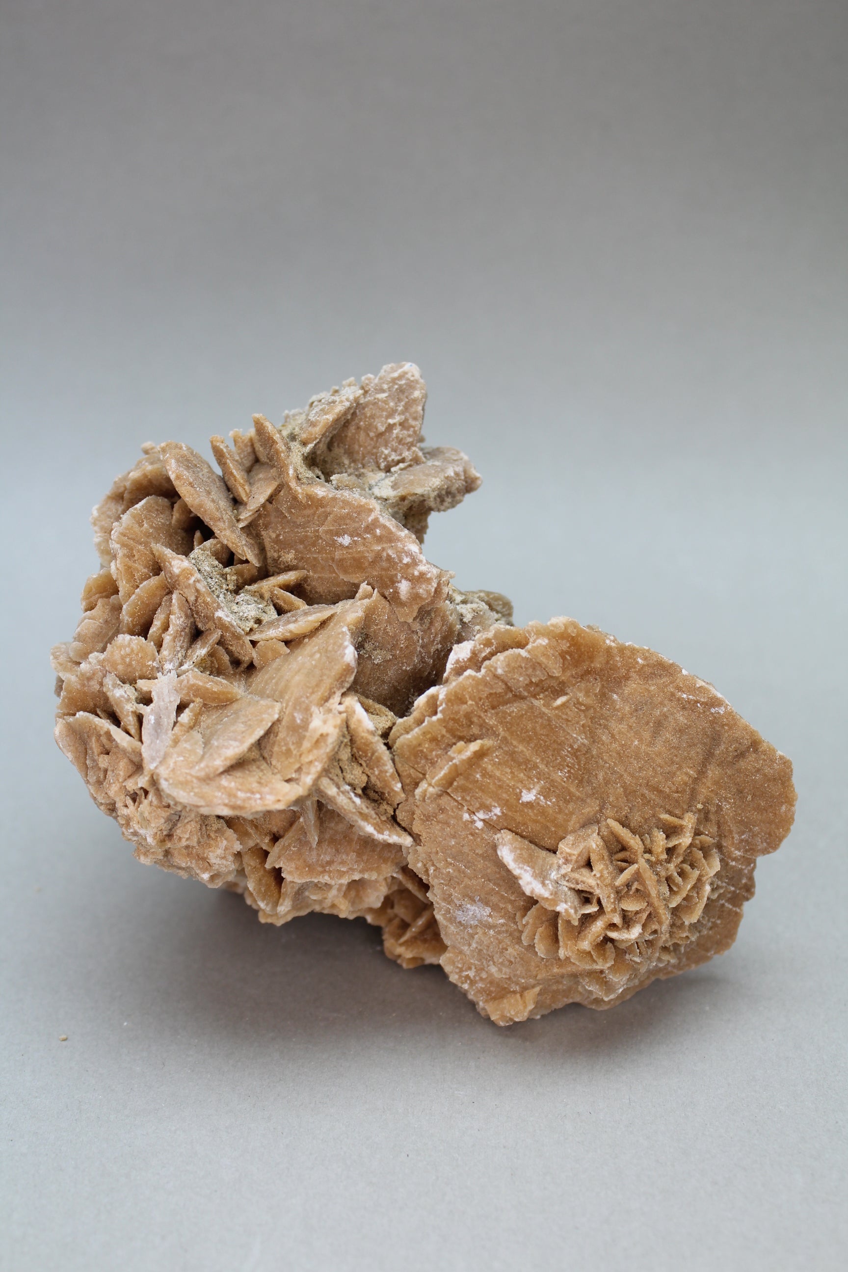 Ørkenrose 395 gr. (Nr. 3)