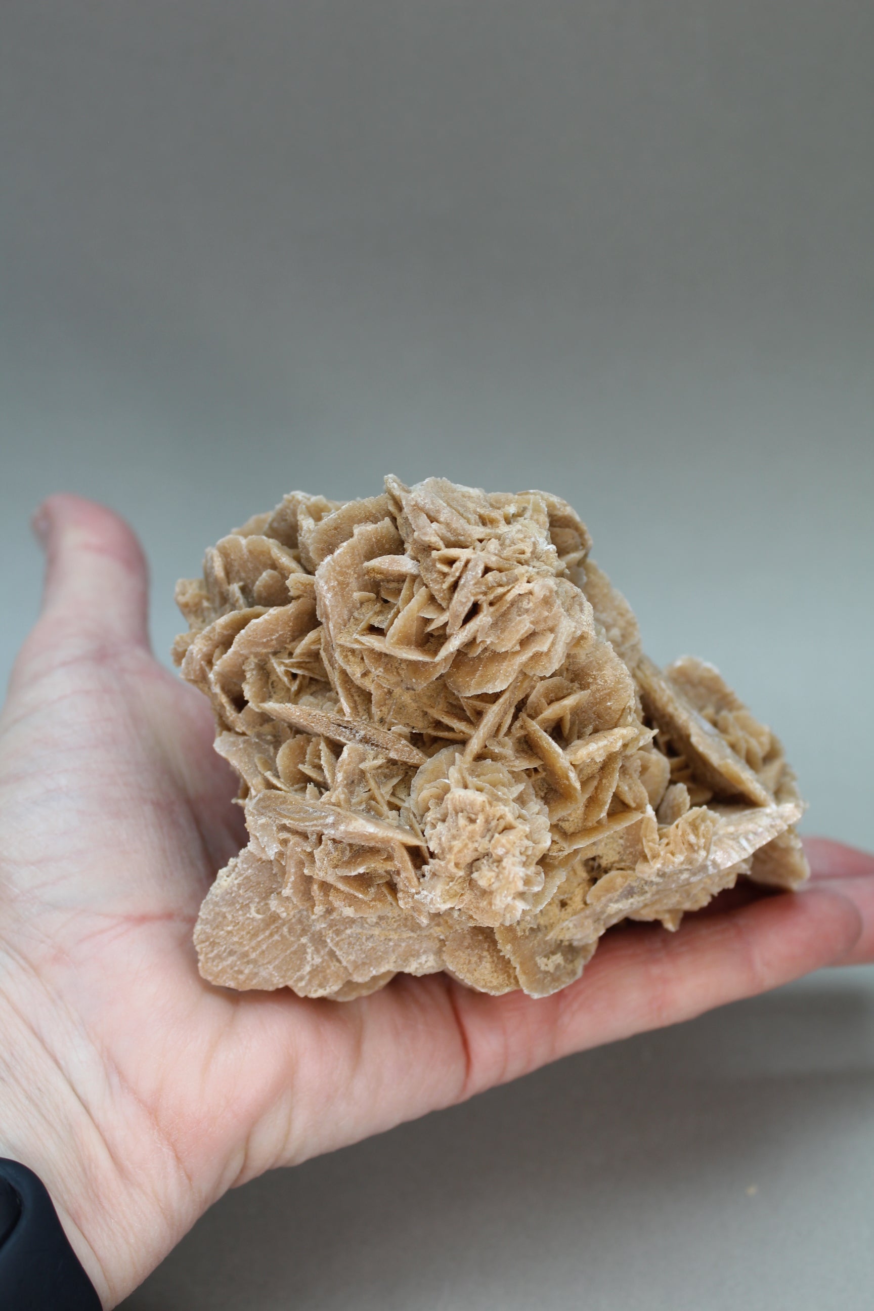 Ørkenrose 395 gr. (Nr. 3)