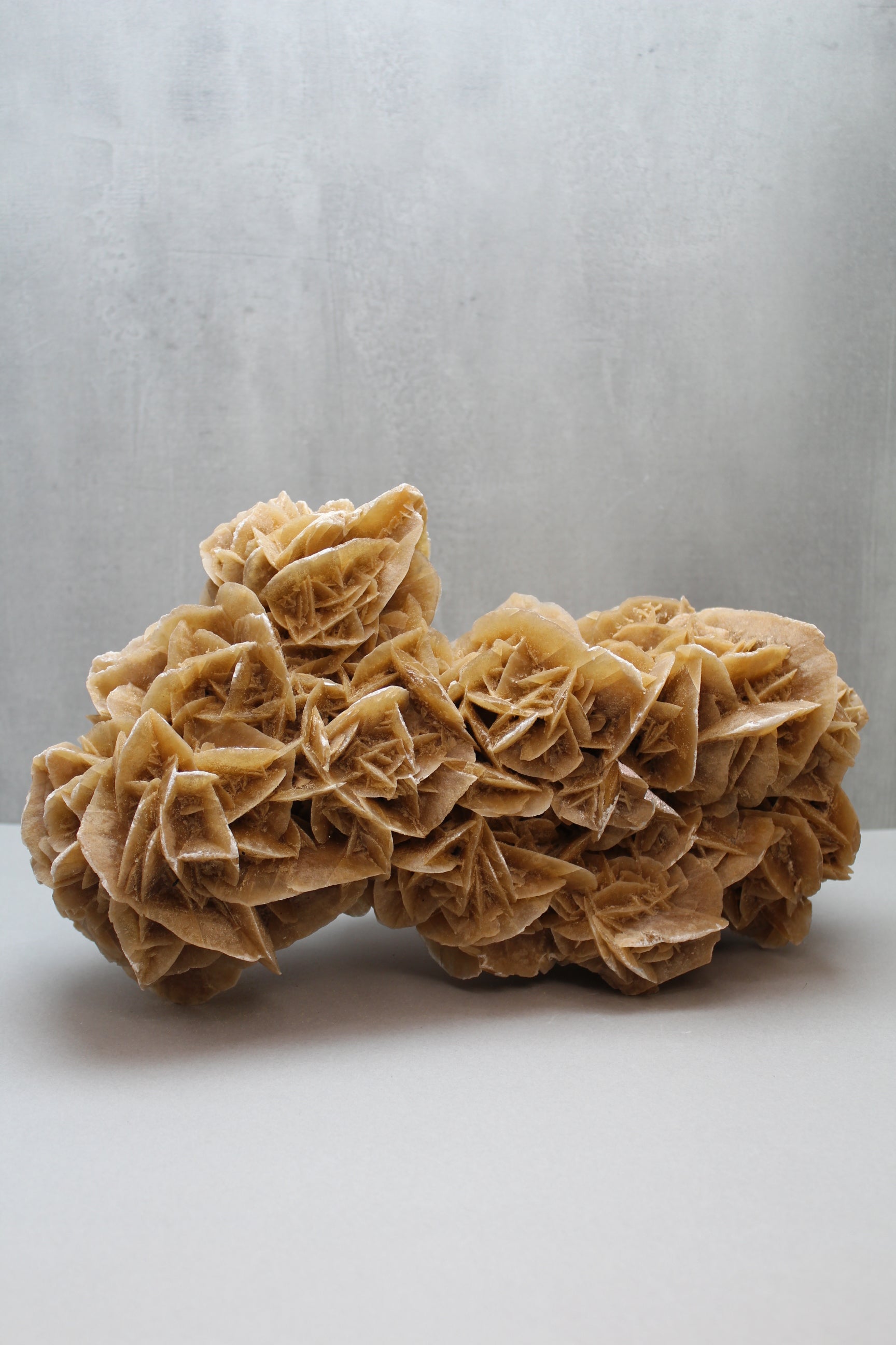 Ørkenrose 5,5 kg (Nr. 4)