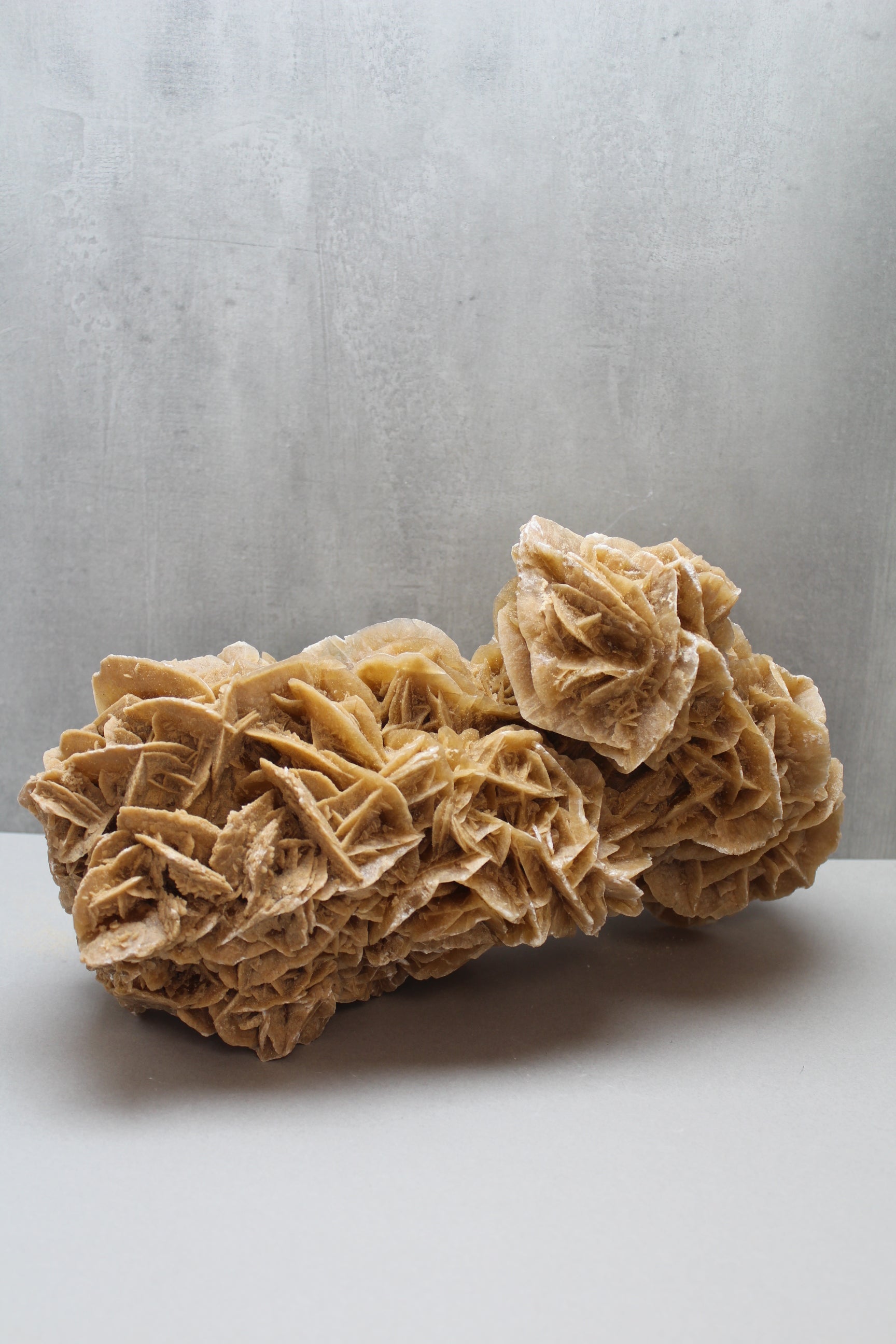 Ørkenrose 5,5 kg (Nr. 4)