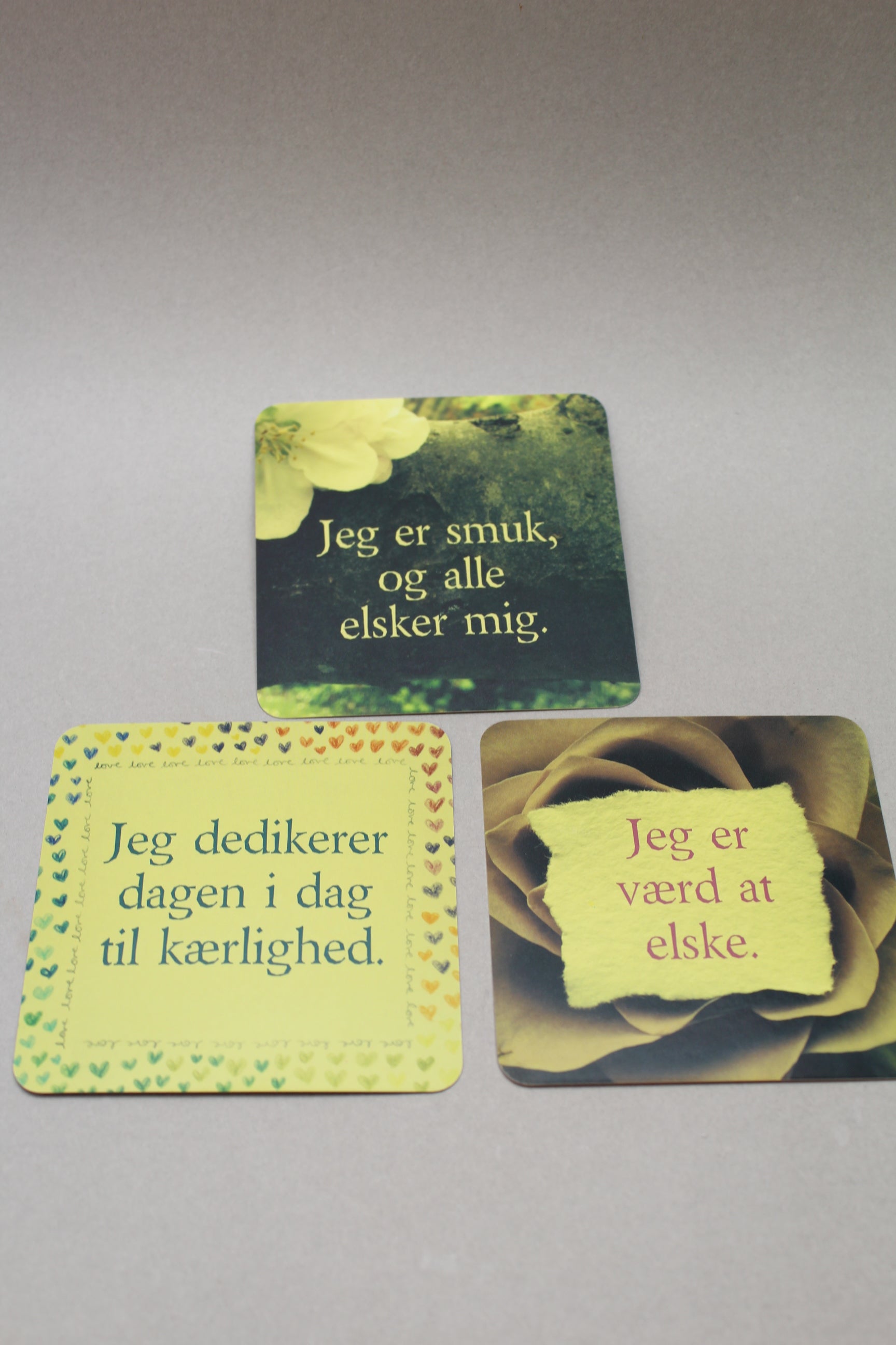 Livet Elsker Dig