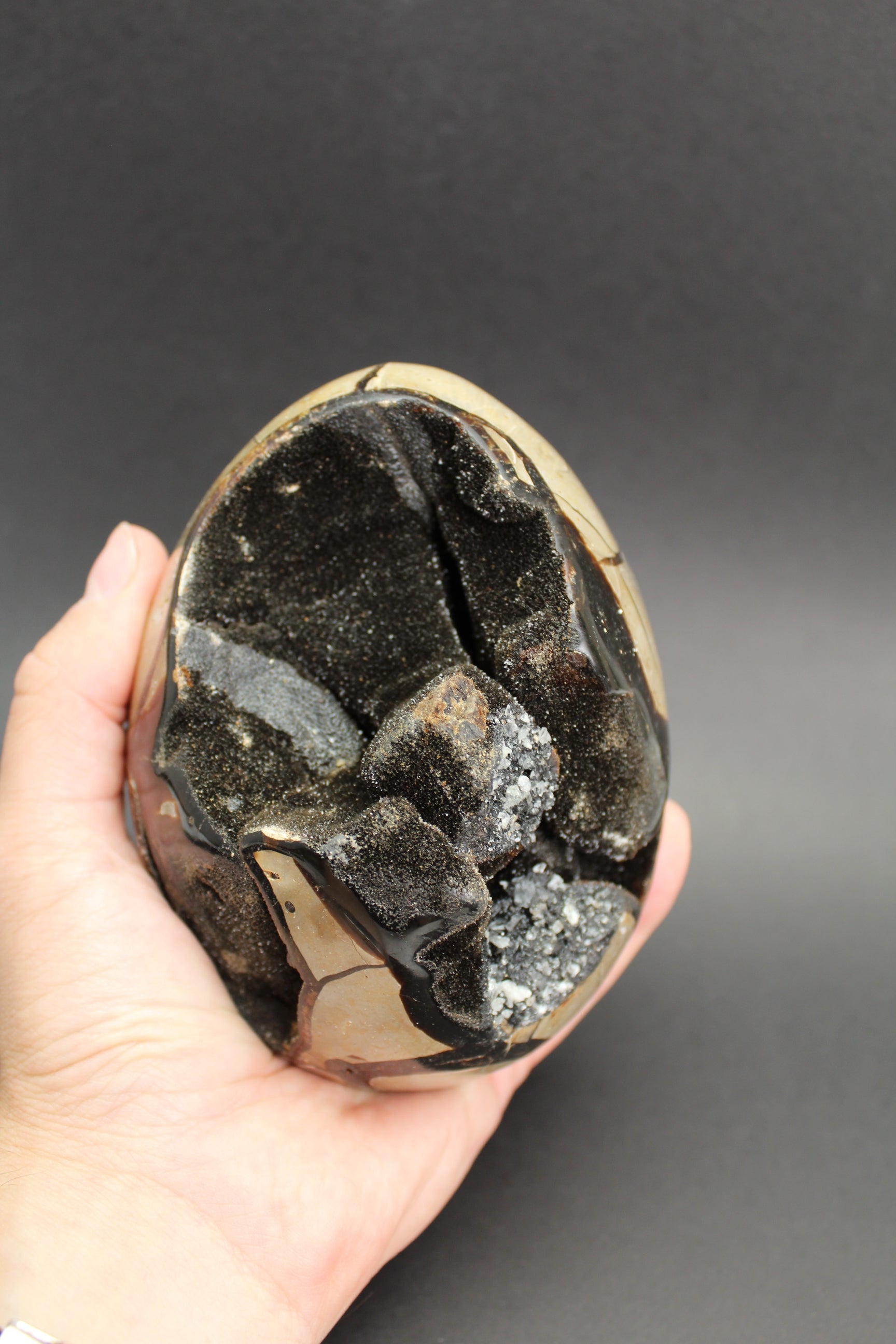 Septarie æg/drageæg - 1.2kg (Nr. 13)