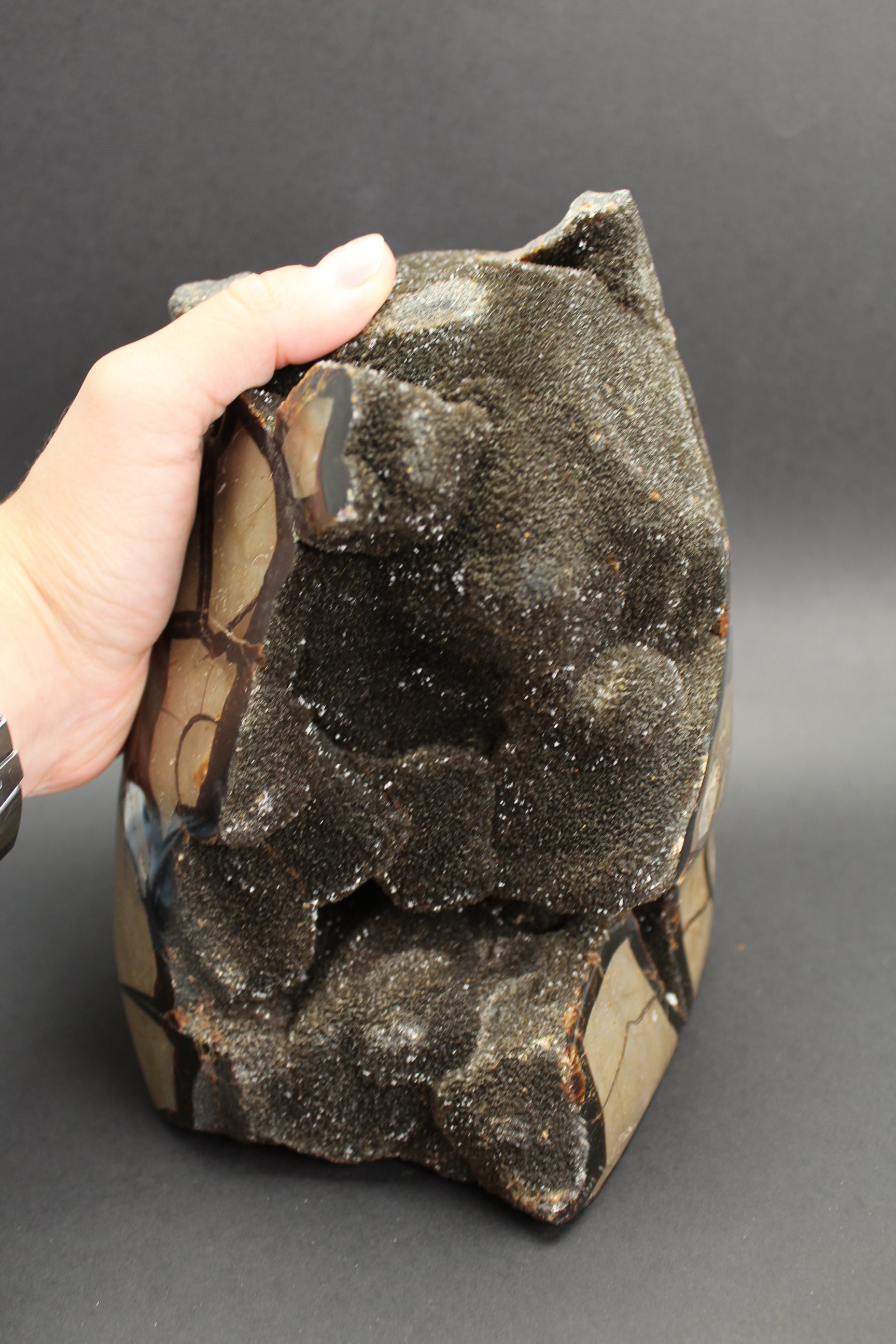 Septarie æg/drageæg - 5.7kg