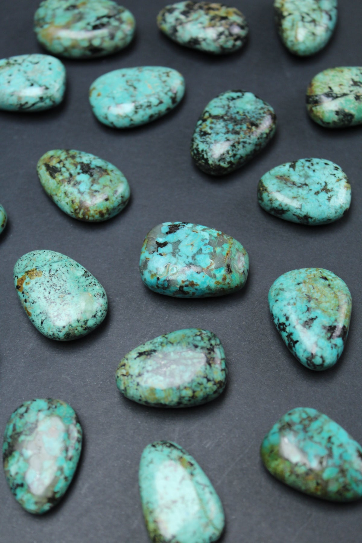 Afrikansk Turkis