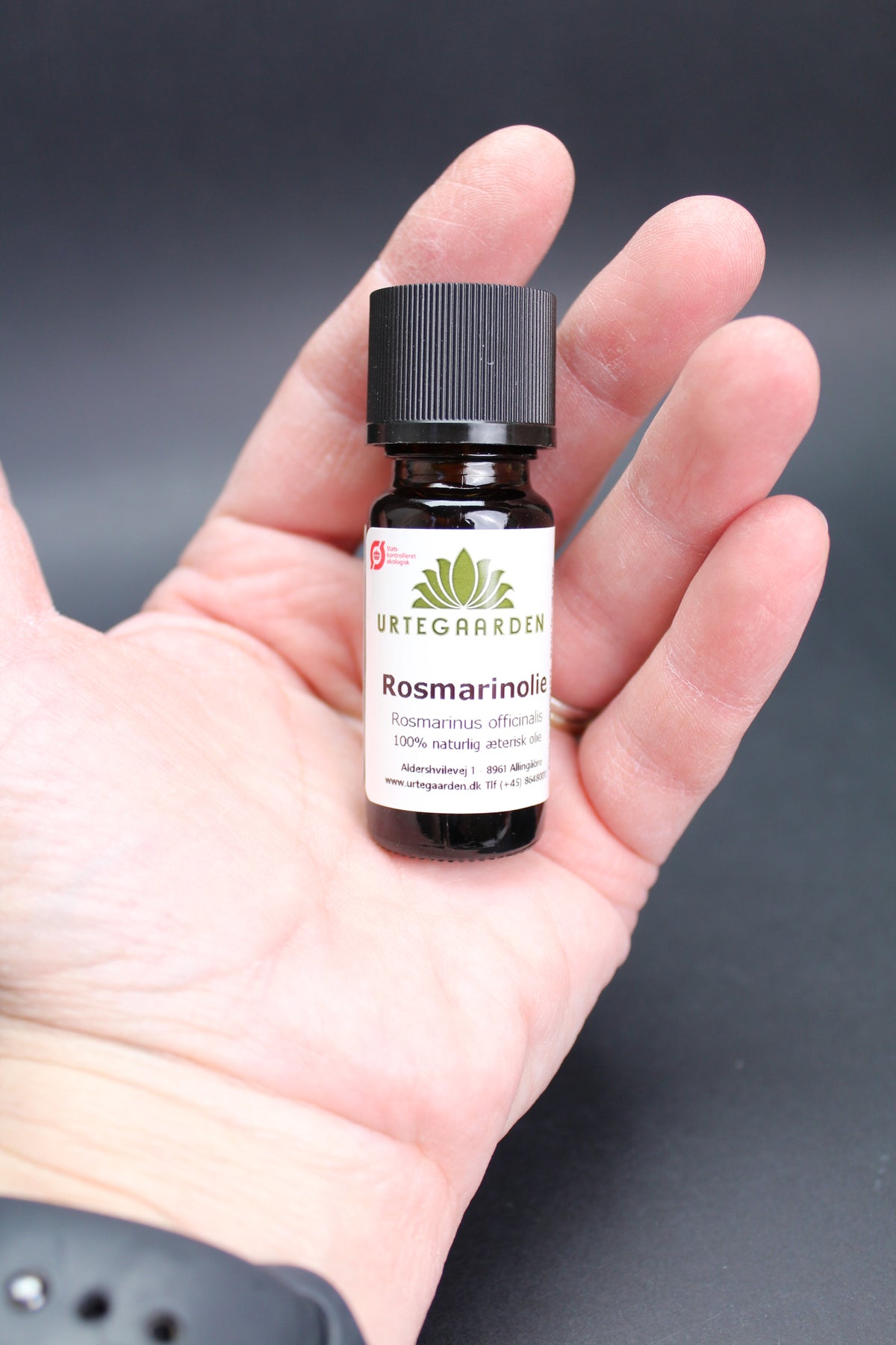 Rosmarinolie ØKO – Æterisk olie 10 ml