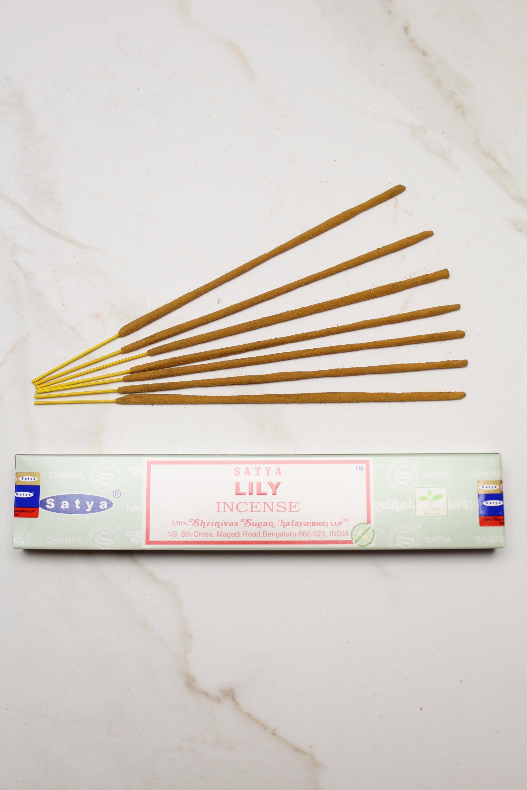 Satya - Lily