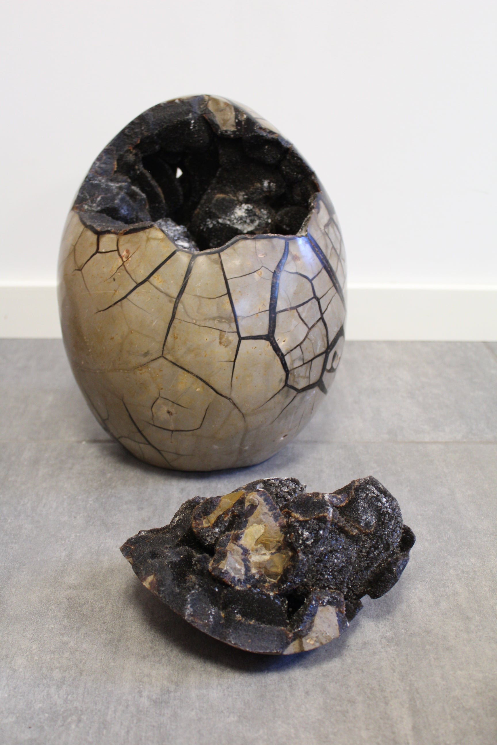 Sort septarie drageæg på 19,6 kg.