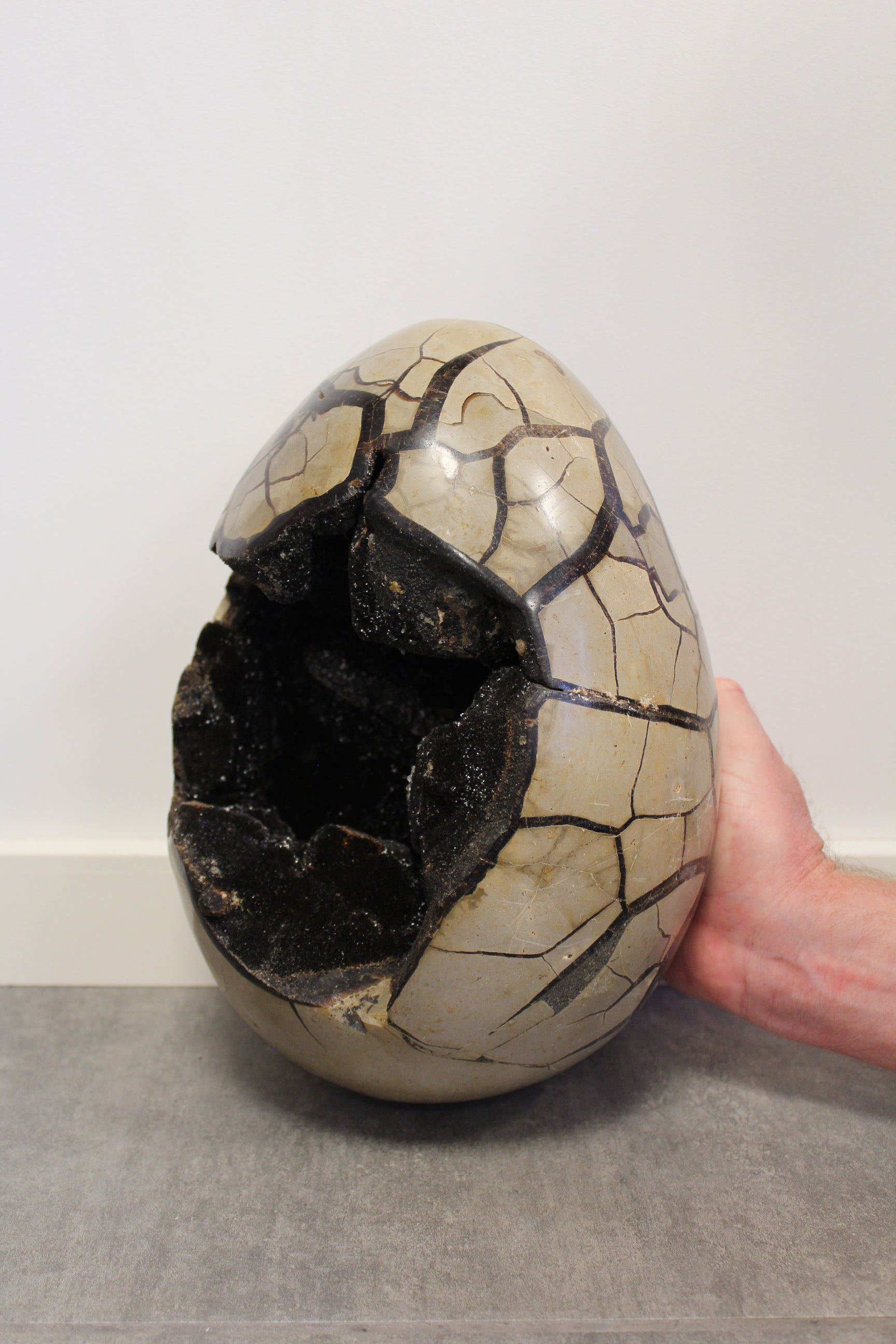 drageæg i sort septarie