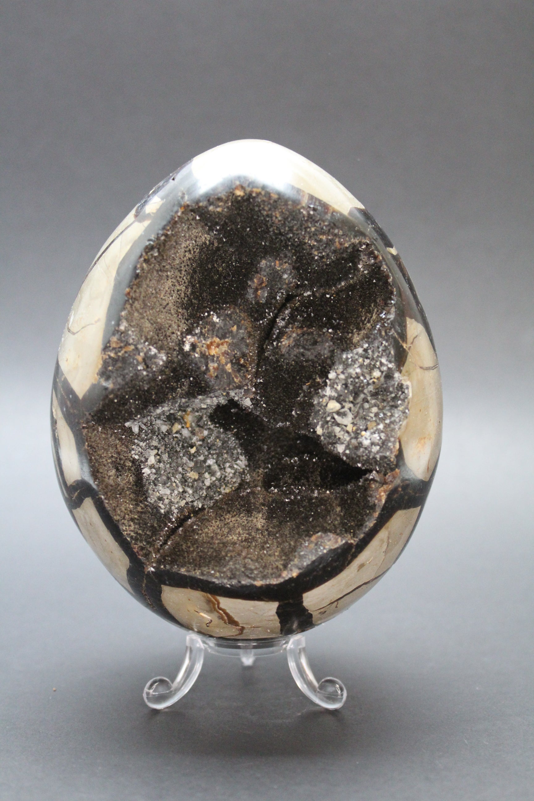 drageæg i sort septarie