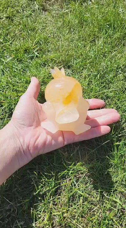 Golden Healer Psyduck UNIKA