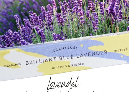Brilliant Blue Lavender