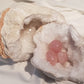 Kvarts Geode