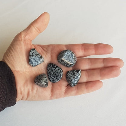 Obsidian Snefnug