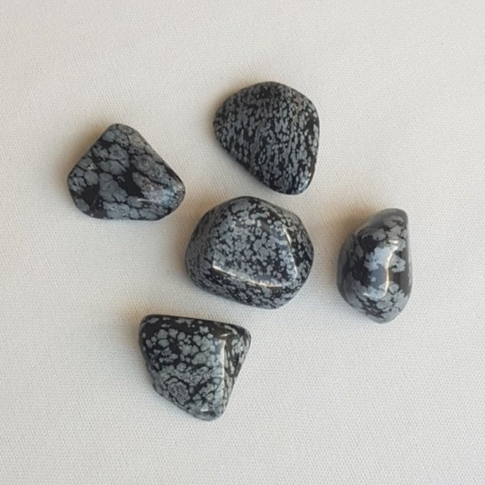 Obsidian Snefnug