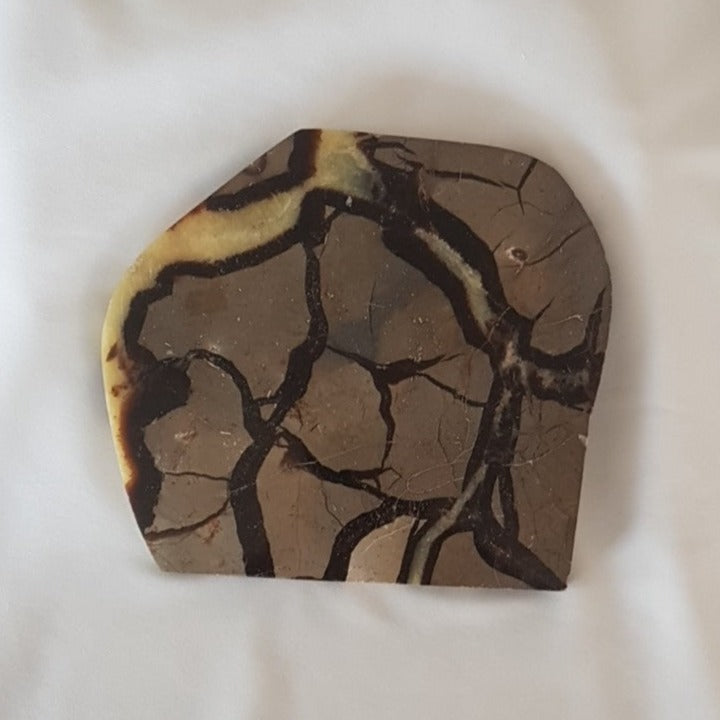 Plade - Gul Septarie