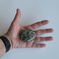Jaspis Ocean Palmstone