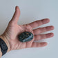 Jaspis Ocean Palmstone