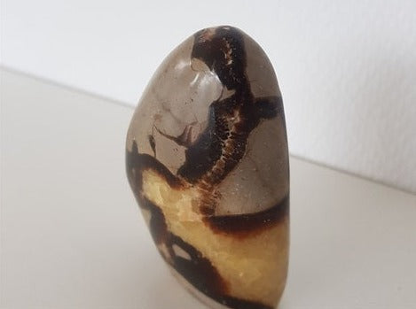 Septarie Gul